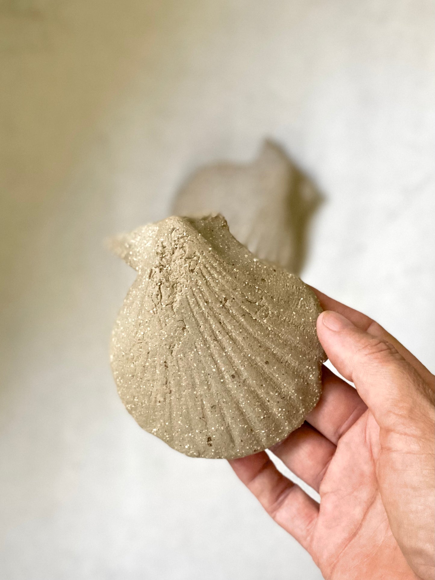 SCALLOP SHELL trinket dish ‘set of two’